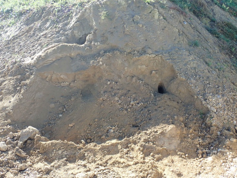 Erde kaufen Grellingen Humus kaufen Grellingen Sand kaufen Grellingen Löss kaufen Grellingen Kies kaufen Grellingen